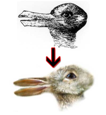 Duck-or-Rabbit.jpg