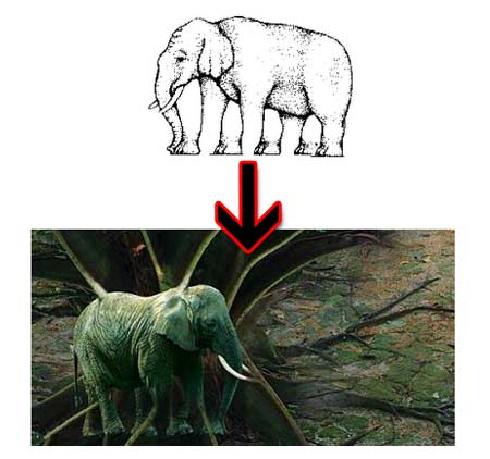 Elephant-Illusion.jpg