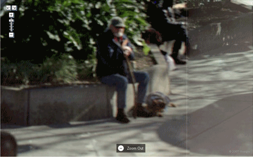 Google Maps ストリートビュー犬のために自分を犠牲にした方