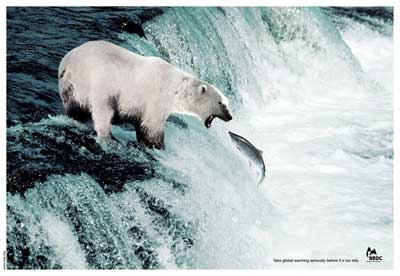 NRDC-Polar-bear.jpg
