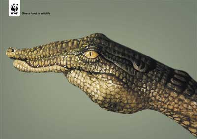WWF-Crocodile.jpg