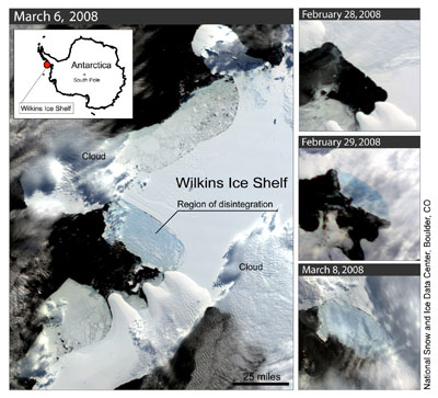 Wilkins-Ice-Shelf2.jpg