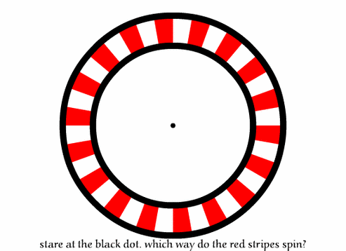 黒い点を見つめると目の錯覚でストライプが回る。